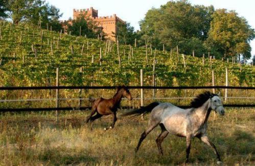 La Cascina Del Castello Villa Asti Eksteriør bilde